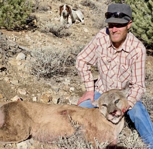 Nevada Mountain Lion Hunts – Year-Round Guided Cougar Hunts with Expert Houndsmen Nevada Mountain Lion Hunts – Year-Round Guided Cougar Hunts with Expert Houndsmen