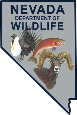 Over the Counter Nevada Tags Over the Counter Nevada Tags